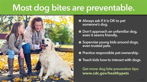  Supervise your dog at all times when around young children to avoid bites and aggression