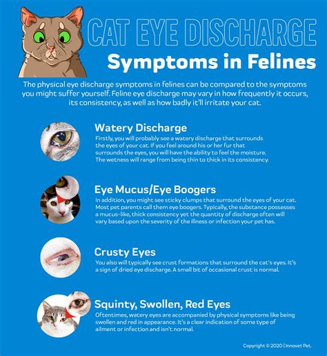  Symptoms include a thick discharge, squinting, pawing at the eye, or a dull, dry appearance of the eye