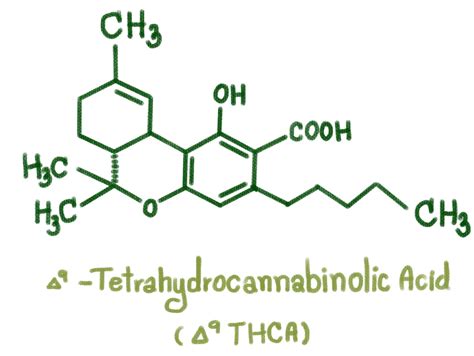  THCA is the carboxylic acid form of THC which is found in the Cannabis sativa and is retained during extraction of the product used in this study