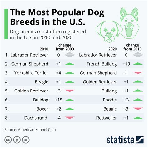  Tags: United States, Dog Breeds