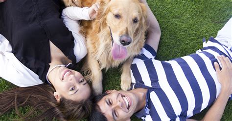  Take a look at some of the most common queries from dog lovers like you