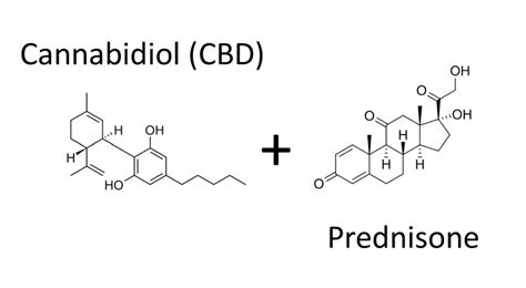  Taking a full-spectrum CBD-based product in combination with a steroid, like prednisone, will most likely not guaranteed not result in any detrimental adverse effects