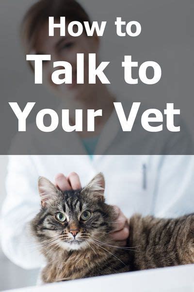  Talk to your veterinarian about any side effect that seems unusual or bothersome to your pet