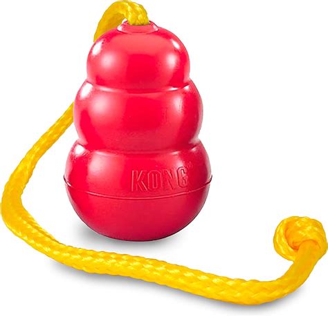  Teething toys, puppy Kongs, balls and rope toys are big favorites with puppies