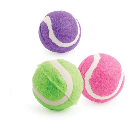  Tennis balls are one of the toys that Bulloxers enjoy playing with the most
