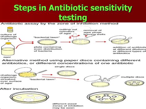  Testing methods: The sensitivity of different forms of drug testing varies
