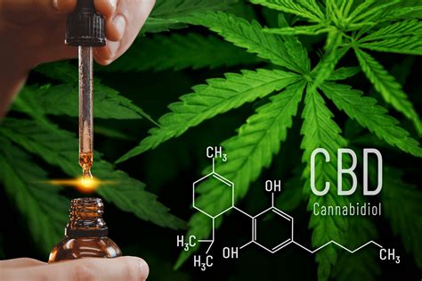  Thankfully, the CBD compound itself is non-toxic, but it can lead to discomfort