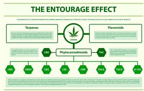  The "entourage effect" is the combined effort of all of the natural hemp compounds on the ECS