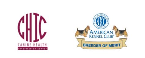  The ACA or its Officers do not recommend, guarantee, endorse, nor rate breeders, their kennels, or their stock