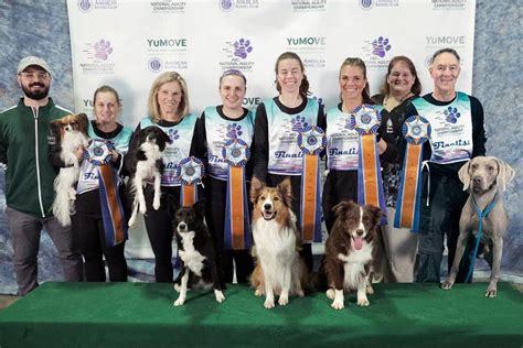  The AKC hosts countless conformation, agility, and Best in Show events all over the country and world at large