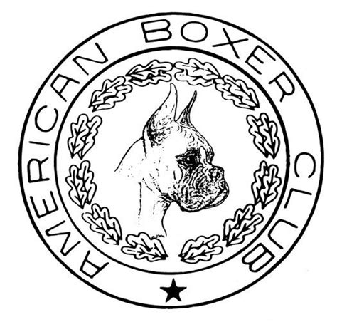  The American Boxer Club was established in 