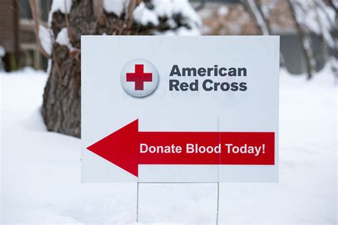  The American Red Cross is one of the largest blood collection organizations in the world