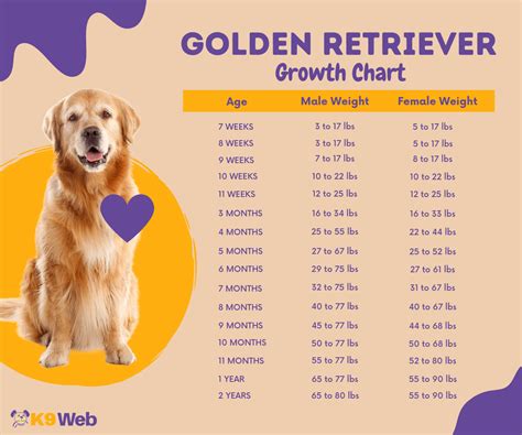  The Golden Retriever growth charts can alert you to the common causes of slow growth