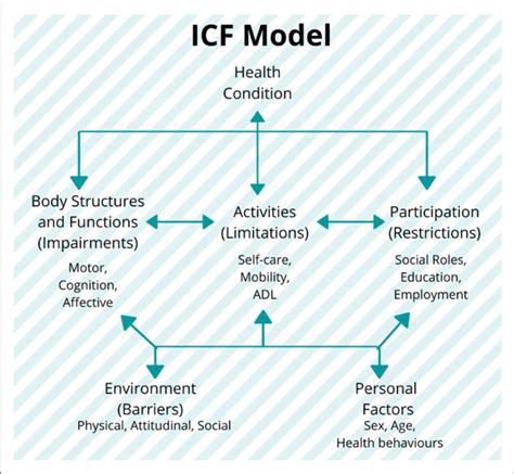  The International Classification of Functioning, Disability, and