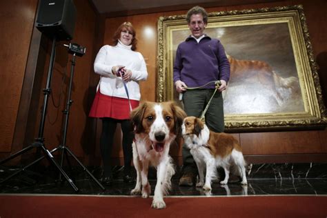  The Spanish Kennel Club granted it official recognition in 