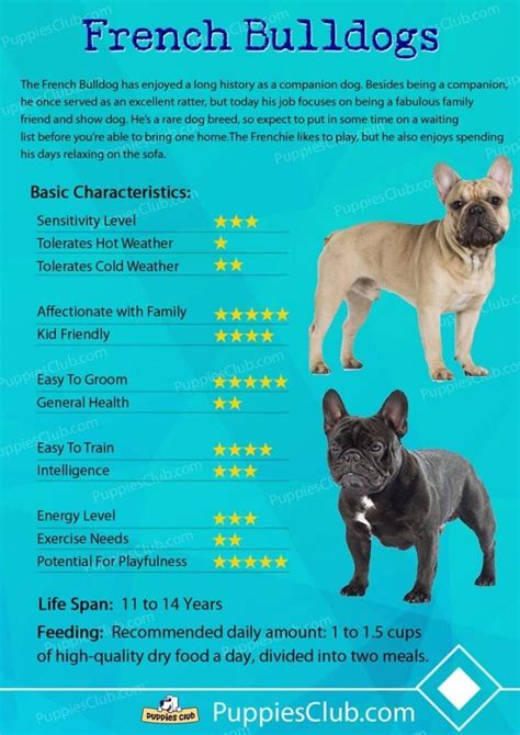  The age of a French Bulldog can also affect its price