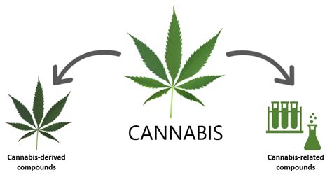  The agency has, however, approved one cannabis-derived and three cannabis-related drug products see Question 2