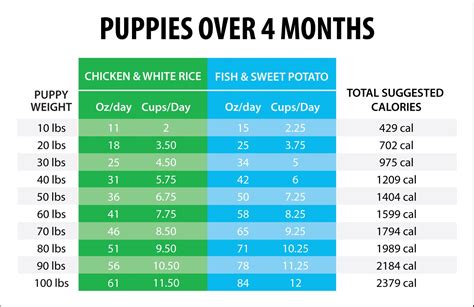  The amount of food your puppy needs to maintain their good body condition varies depending on the metabolism rate of each puppy and its activity level