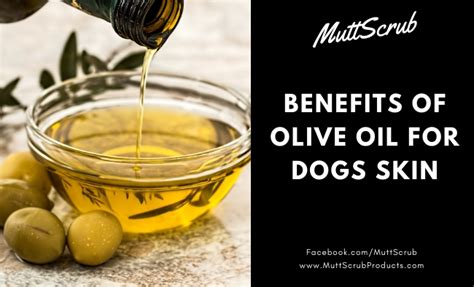  The amount of oil you give them depends on their breed, size, and condition, as well as the strength of the oil
