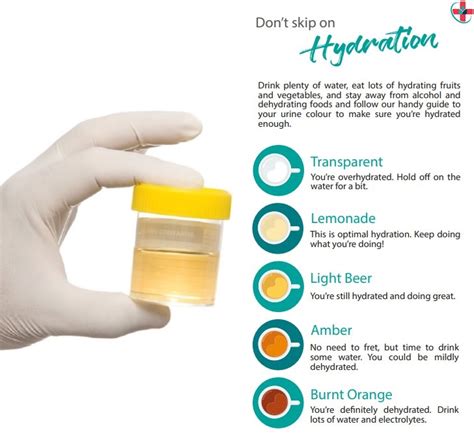  The amount present in your urine is undetectable