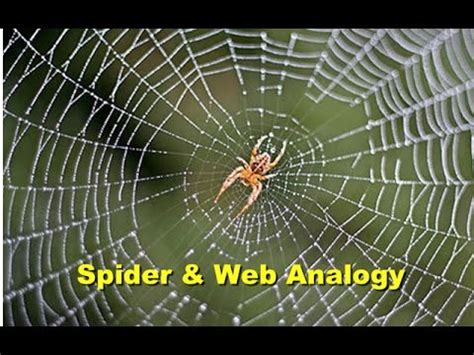  The analogy of a spider web can be useful here; each backlink is like a thread in the web, adding to its overall strength and structure