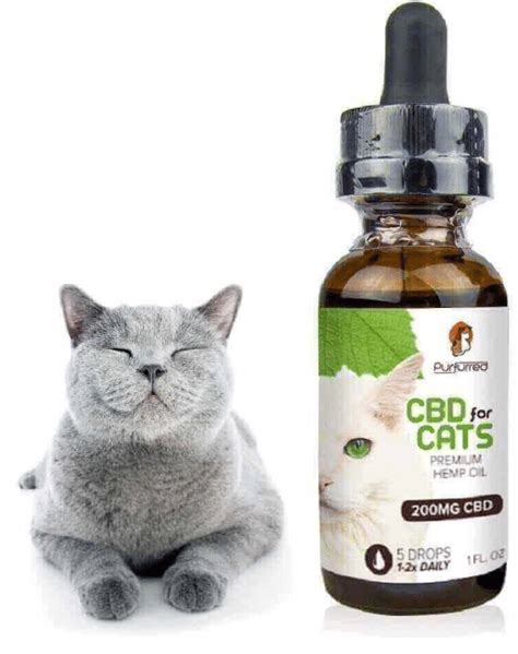 The answer is yes! In this article I will outline how to source CBD for cats and how to use it for common diseases and conditions in cats