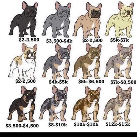  The average cost for all French Bulldogs …