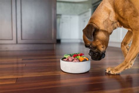  The best Boxer food will be one that is made for active dogs and includes all the vitamins and minerals they require to stay healthy and fit