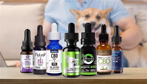 The best CBD brands for dogs: 1