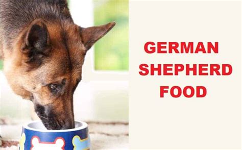  The best food for a vomiting German Shepherd is generally a bland diet made with boiled, boneless chicken and cooked white rice