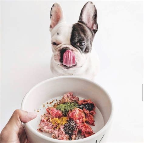  The best raw food for Frenchies There are several types of raw food diets for dogs, including the Prey Model Diet, the B