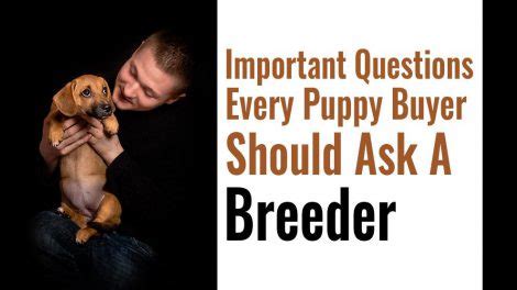  The bigger question should be… It depends on how the Breeder feeds the puppies