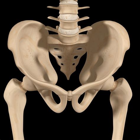  The bones of the legs are the most commonly affected, but other bones like the jaw, hips, and pelvis can also be affected
