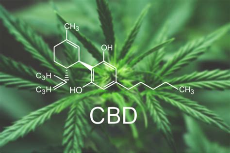  The cannabinoid in CBD has shown to work well for pain