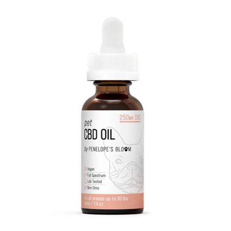  The chamomile extract, paired with the CBD oil, garners particular appreciation for providing an encompassing comfort solution for dogs