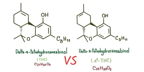 The chemical structure of delta-9 and delta-8 THC is similar but has slight variations that affect their interaction with receptors in our bodies
