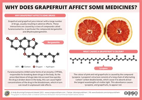  The chemicals in grapefruit can temporarily inhibit cytochrome P enzymes in the liver which are critical for metabolizing these medications