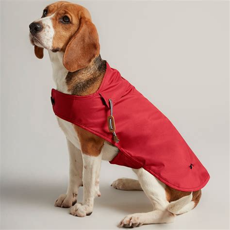  The coat is water-resistant, so the dog does not get cold when taking to the water in the winter