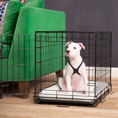  The crate should be a place of safety and comfort for your bulldog