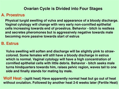  The cycle of a dam is divided into four: Proestrus: Your dam is in her proestrus when she has a bloody vaginal discharge and her vulva becomes swollen
