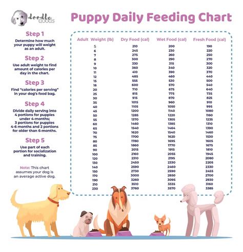  The daily amount of puppy food depends on weeks of age and how much they weigh