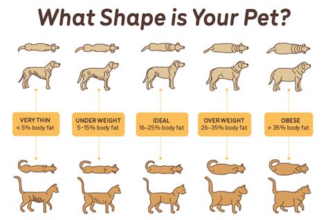  The difference in the two weights will be that of your pet