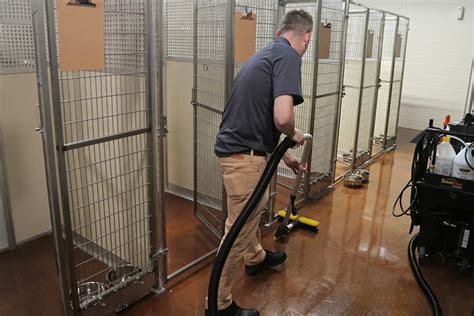  The dogs are in constant contact with the owners of the Kennels and other employees