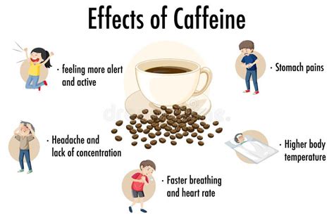  The effects of caffeine for detox are short-lived, so you must take it a few hours before your test