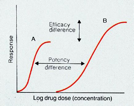  The efficacy of the product only differs when it comes to dosage and concentration
