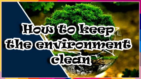  The environment is clean, cool and does not smell
