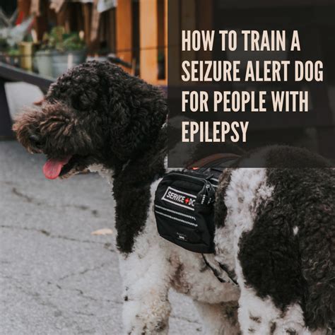  The epileptic seizure events in this population of dogs ranged from 3 to 14 seizures with a mean of 8 seizures over the week study using placebo, which decreased to a mean of 5 seizures with a range of 0—12 events over the 12 weeks of treatment