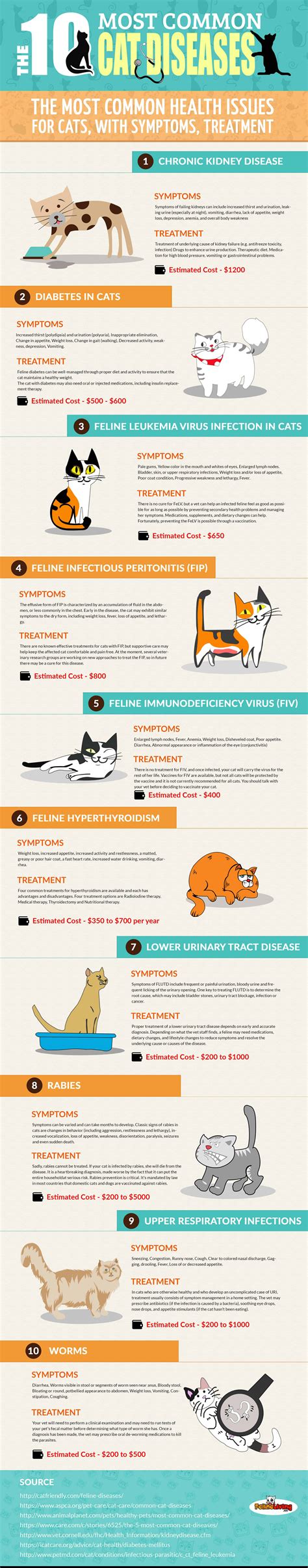  The feline disease shares many similarities with AD and although the diseases are not identical we suggest that the similarities AD and FCD share warrant exploring the feline disease as a model to the human disease