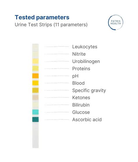  The final result of the self-test was successful, with the synthetic urine passing the simulated test parameters