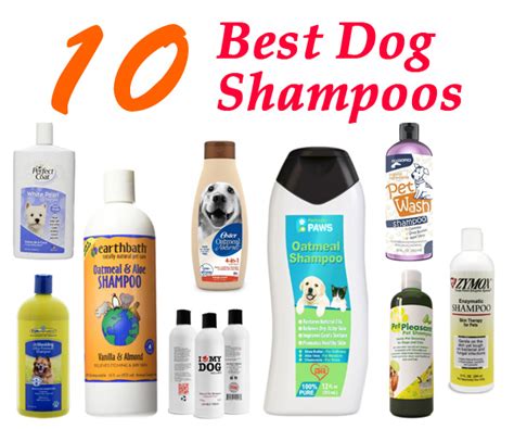 The following are the best dog shampoos for this mixed breed dog: 1